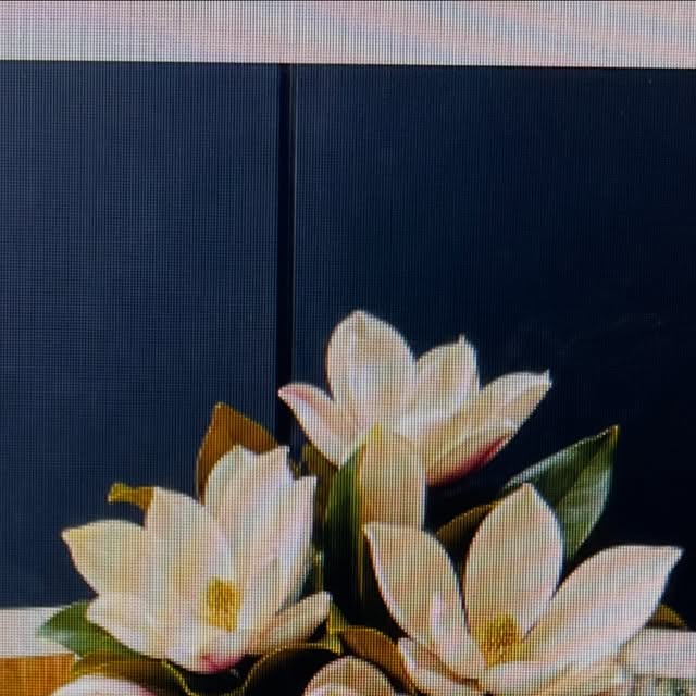Magnolia blooms, the flower both of their mothers loved and the reason it is the name on the door